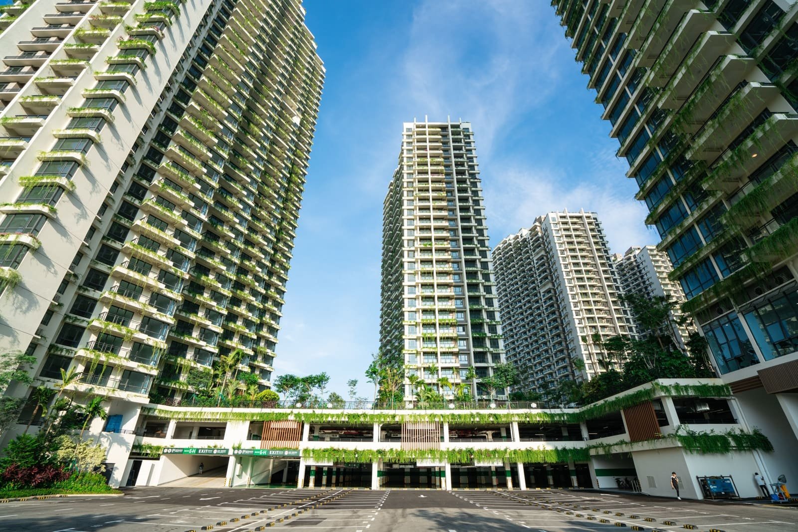 Forest City apartment collection photograph; exact block not identified